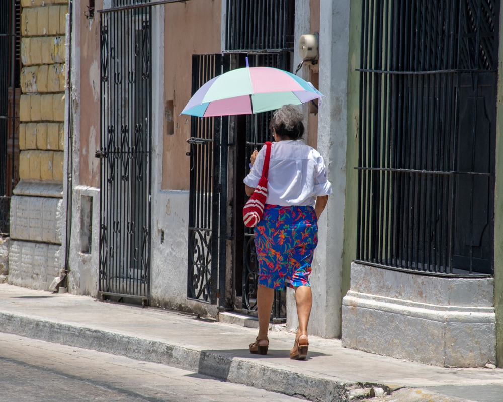Exhorta IMSS-Bienestar a tomar medidas preventivas para cuarta ola de calor Exhorta IMSS-Bienestar a tomar medidas preventivas para cuarta ola de calor