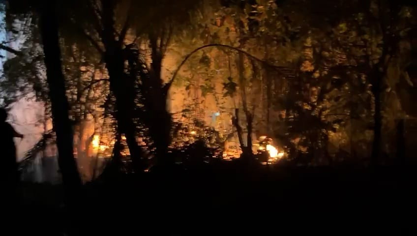 Incendio de maleza pone en riesgo viviendas Incendio de maleza pone en riesgo viviendas