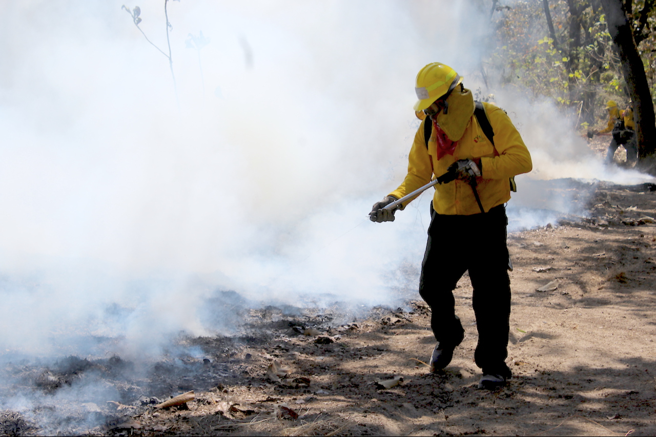 Uno de los incendios registrados es en Mancolona en el municipio de Calakmul, Uno de los incendios registrados es en Mancolona en el municipio de Calakmul,