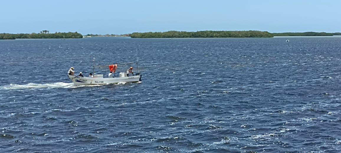 Hombres de mar notaron el arribo de manchones frente a los puertos del El Cuyo y Río Lagartos Hombres de mar notaron el arribo de manchones frente a los puertos del El Cuyo y Río Lagartos