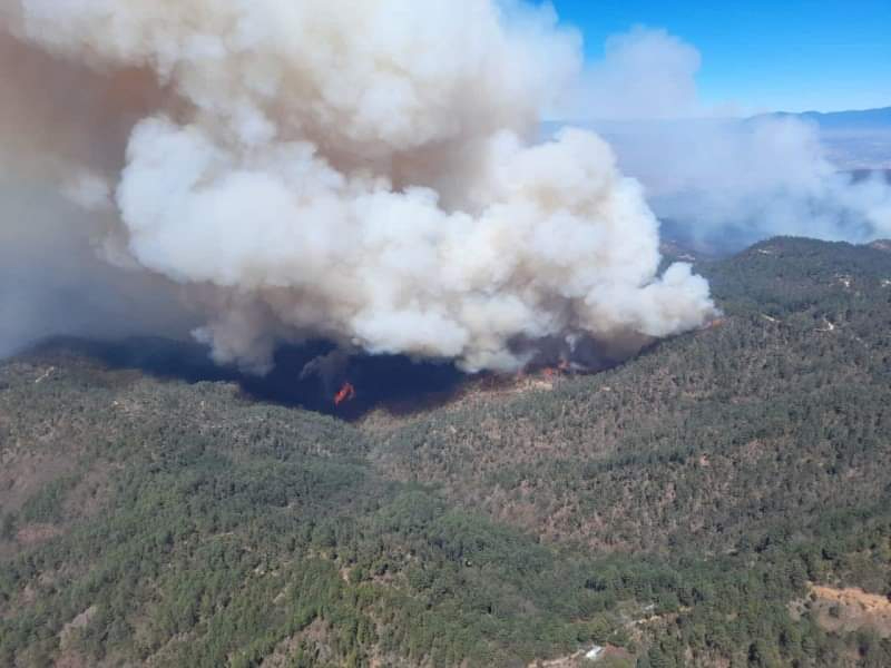 Hay tres incendios forestales activos en Campeche Hay tres incendios forestales activos en Campeche