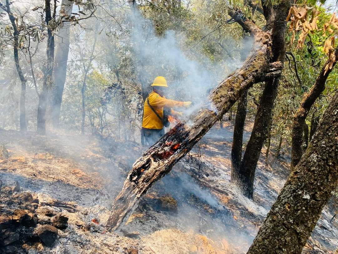 La falta de lluvias ha provocado que los incendios sigan La falta de lluvias ha provocado que los incendios sigan