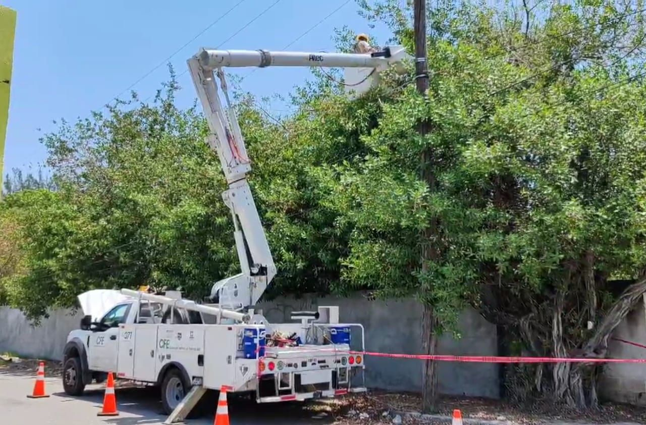 La falta de mantenimiento por parte de la CFE a la red es causante del desabasto de electricidad La falta de mantenimiento por parte de la CFE a la red es causante del desabasto de electricidad