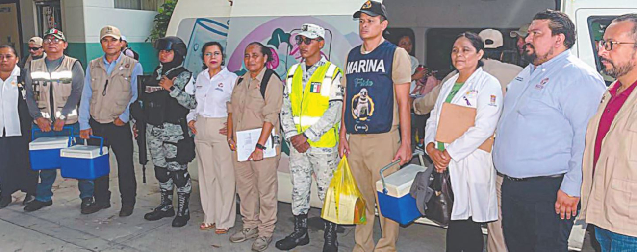 Activan cerco sanitario por caso de  rabia felina en Ciudad del Carmen