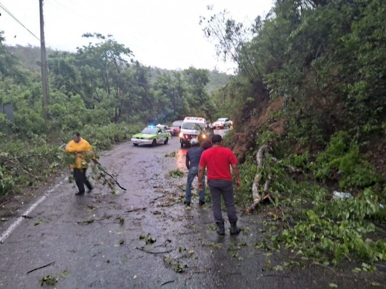 Paso de Chris deja múltiples afectaciones en Veracruz Paso de Chris deja múltiples afectaciones en Veracruz