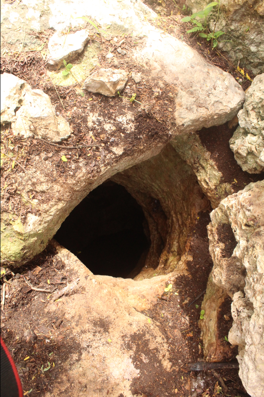 Señalaron que la zona no se inunda debido al cenote Señalaron que la zona no se inunda debido al cenote