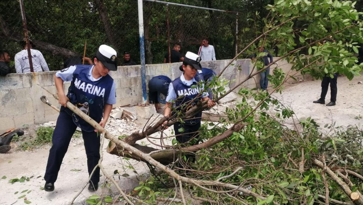 Recolectan 8 toneladas de desechos sólidos tras operativo de limpieza en la ciénega de Progreso 