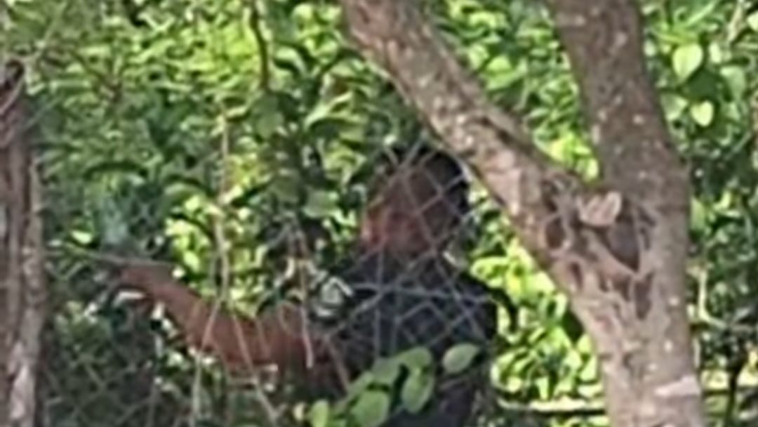 Evitaron el suicidio al gritarle, lo que provocó que el hombre huyera del lugar. Evitaron el suicidio al gritarle, lo que provocó que el hombre huyera del lugar.