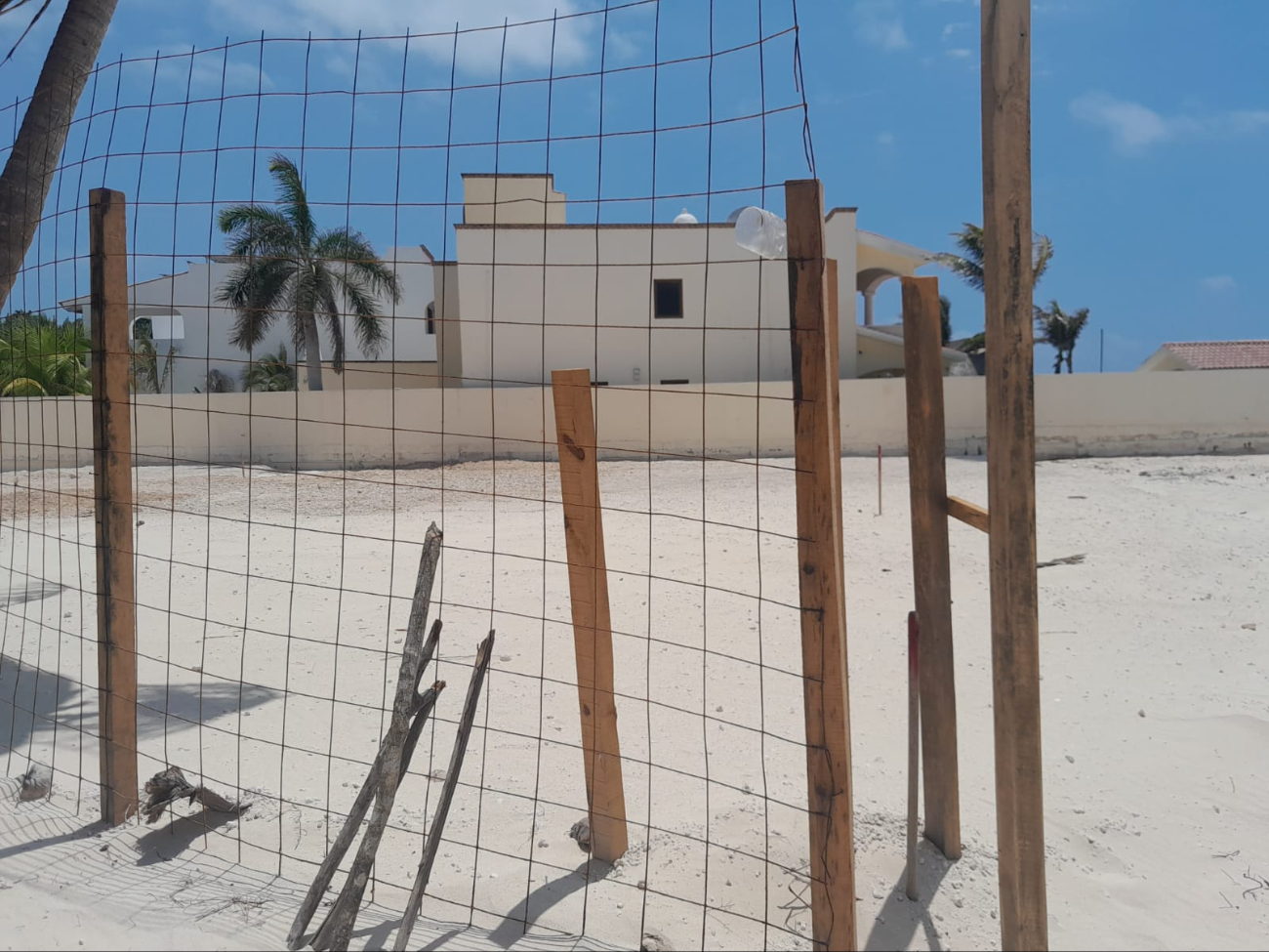 Señalaron que estaba cerca de una zona de anidación de tortugas marinas. Señalaron que estaba cerca de una zona de anidación de tortugas marinas.
