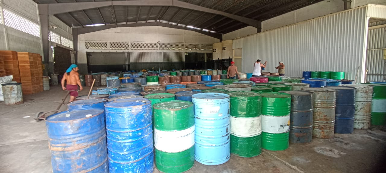 Únicamente se lograron captar 210 toneladas del dulce Únicamente se lograron captar 210 toneladas del dulce