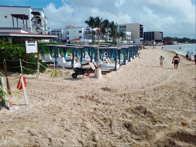 Beryl trajo consigo sedimentación beneficiosa para áreas erosionadas, como Playa Mamitas Beryl trajo consigo sedimentación beneficiosa para áreas erosionadas, como Playa Mamitas