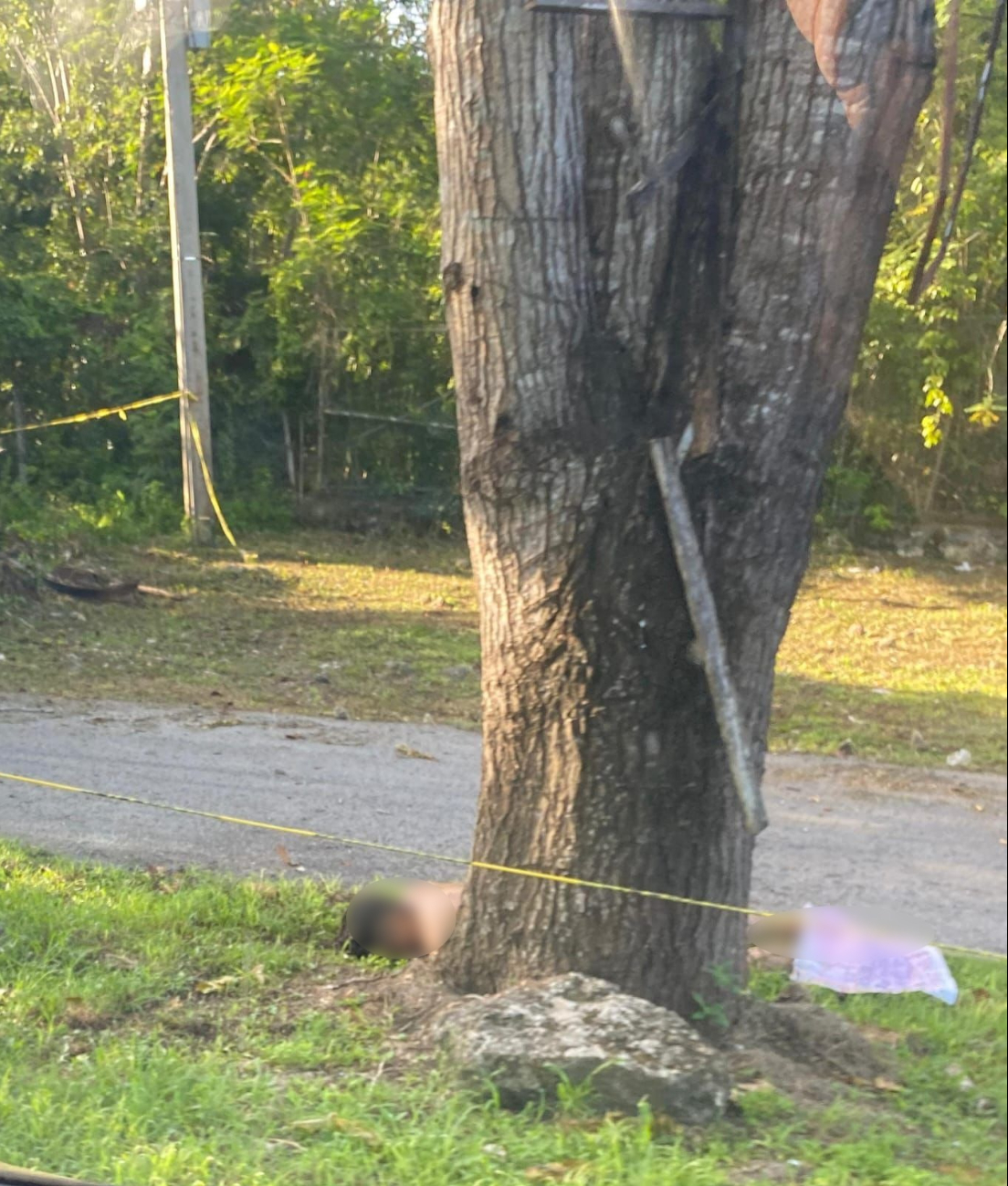 Hallan cadáver en el poblado de Leona Vicario, en Cancún