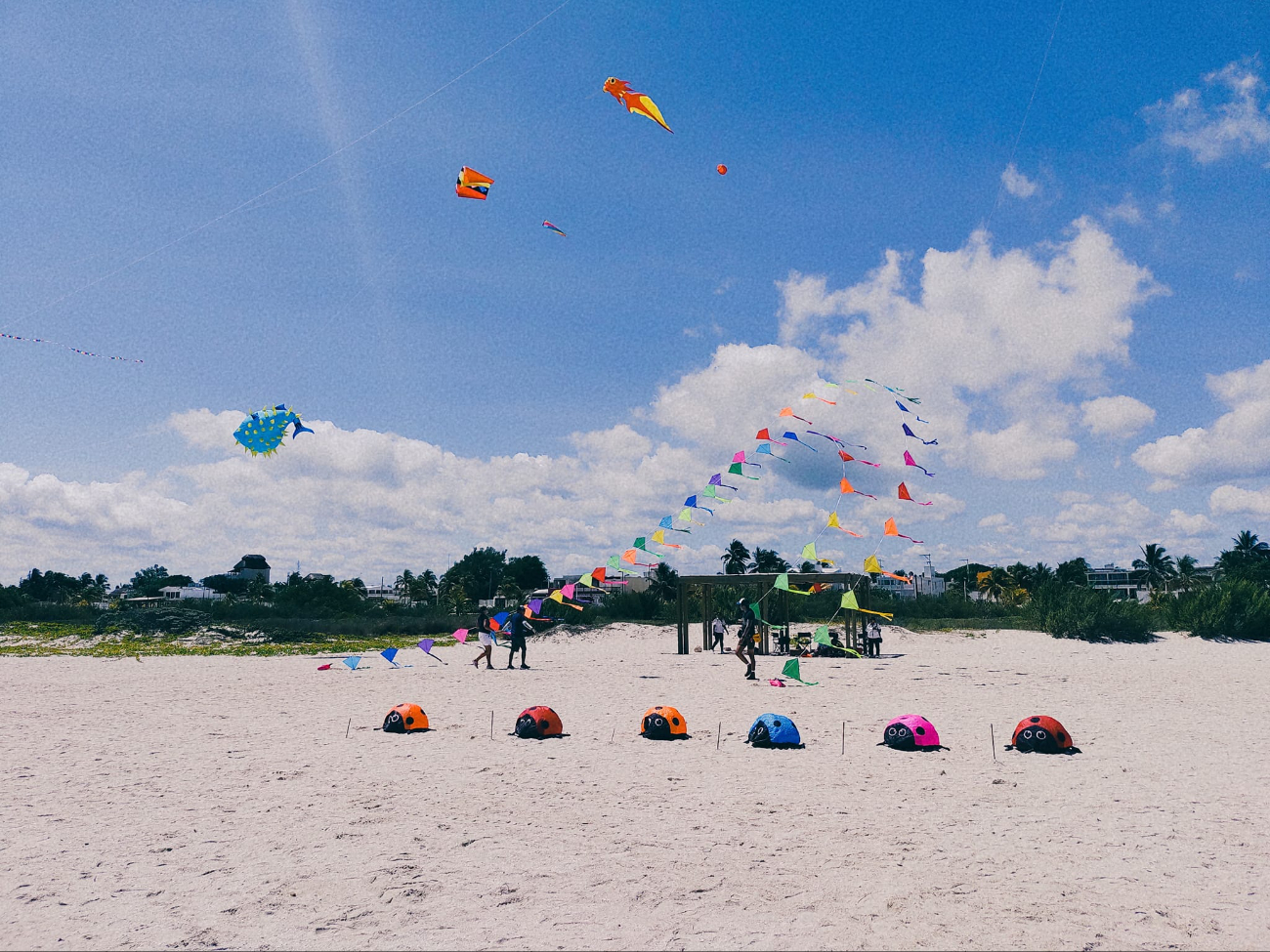El festival del papagayo será para todas las edades El festival del papagayo será para todas las edades