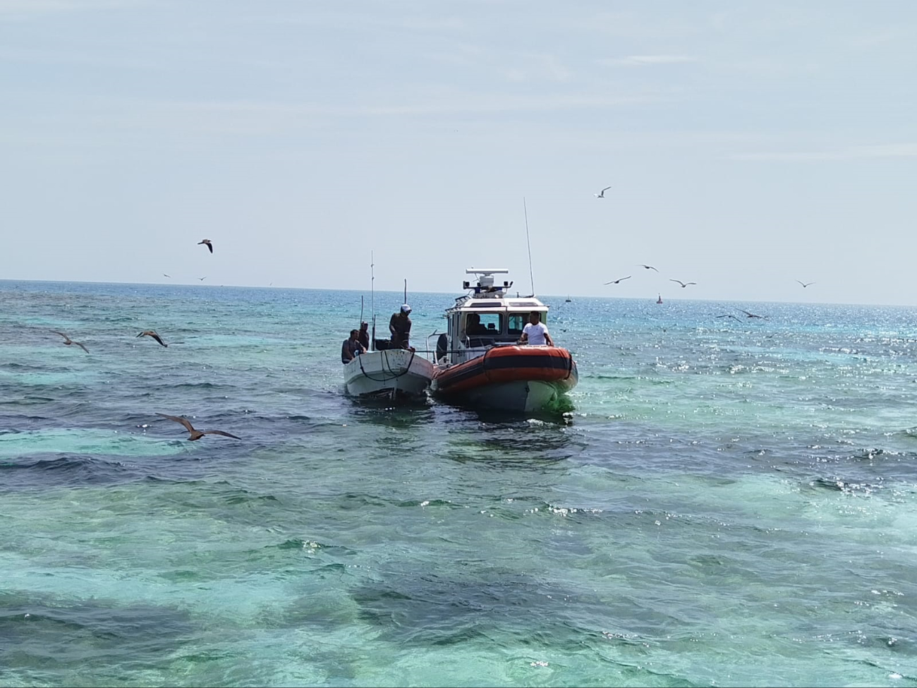 El pescador tenía 20 kilos de pulpo maya El pescador tenía 20 kilos de pulpo maya