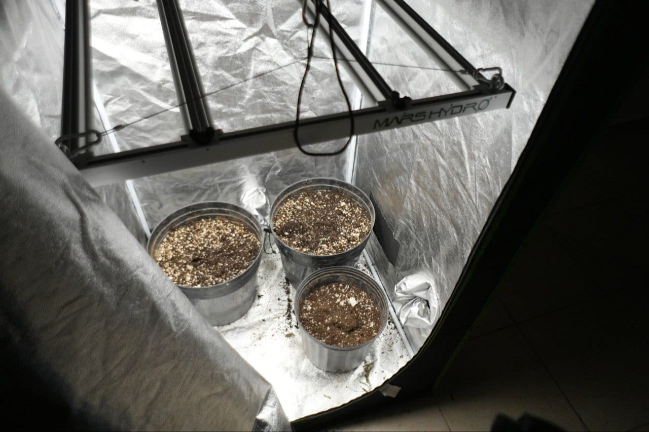 Habían macetas para cultivar marihuana Habían macetas para cultivar marihuana
