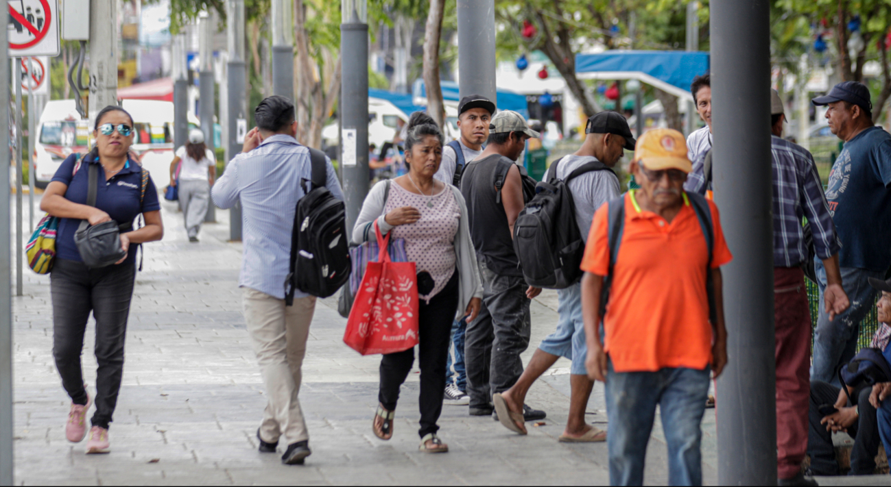 a mayor concentración se registra en Solidaridad y Tulum. a mayor concentración se registra en Solidaridad y Tulum.