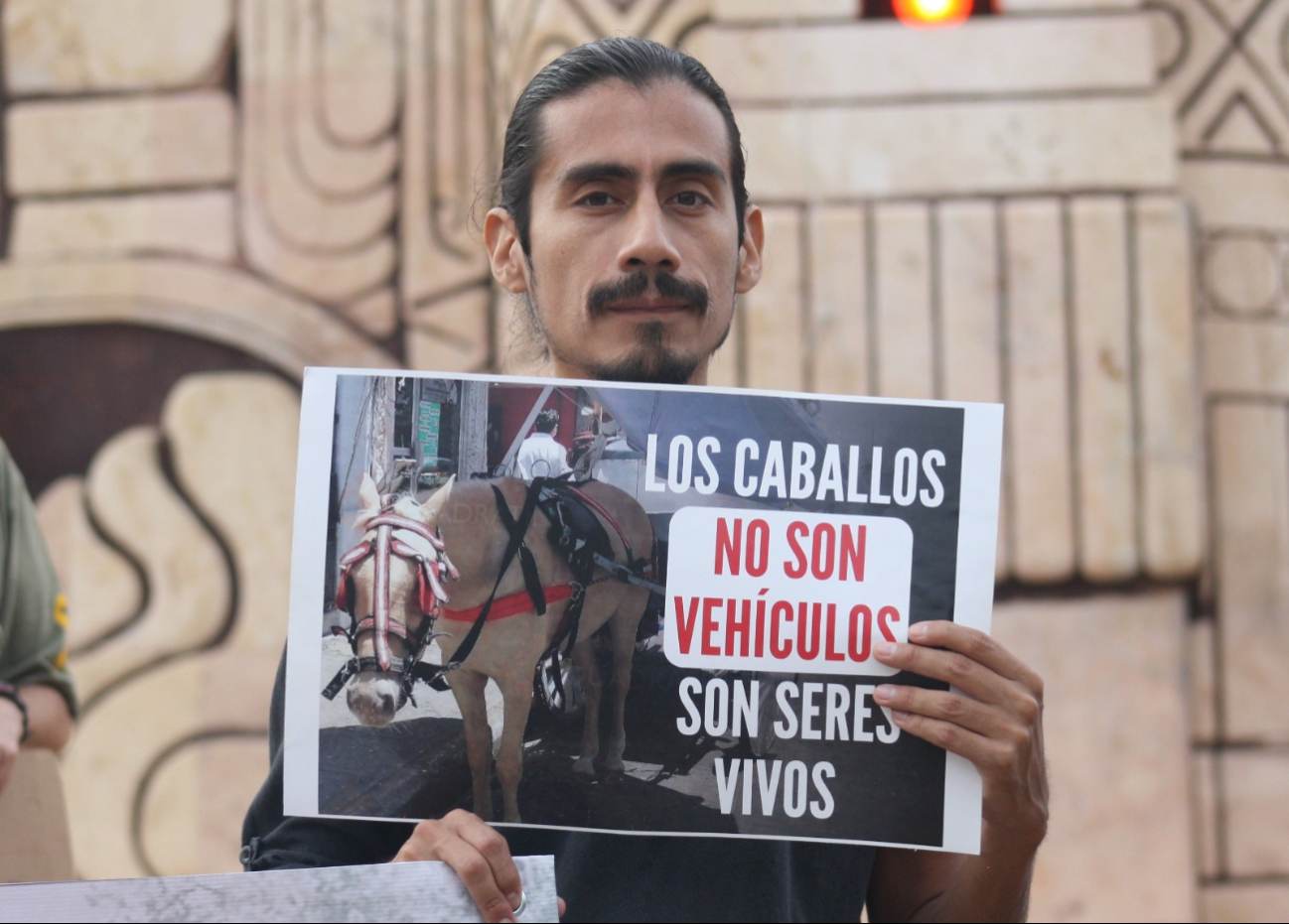 Activistas se manifiestan en contra de las calesas de caballos en Mérida / Nadie Tecuapetla Activistas se manifiestan en contra de las calesas de caballos en Mérida / Nadie Tecuapetla