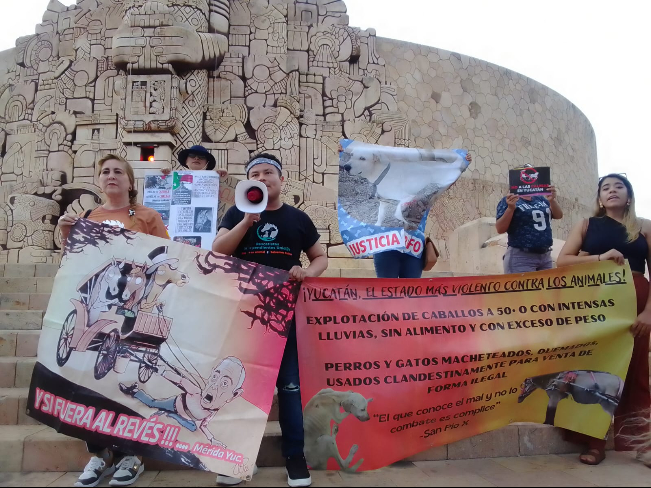 Rescatistas se manifiestan en contra del maltrato a un caballo en Mérida Rescatistas se manifiestan en contra del maltrato a un caballo en Mérida