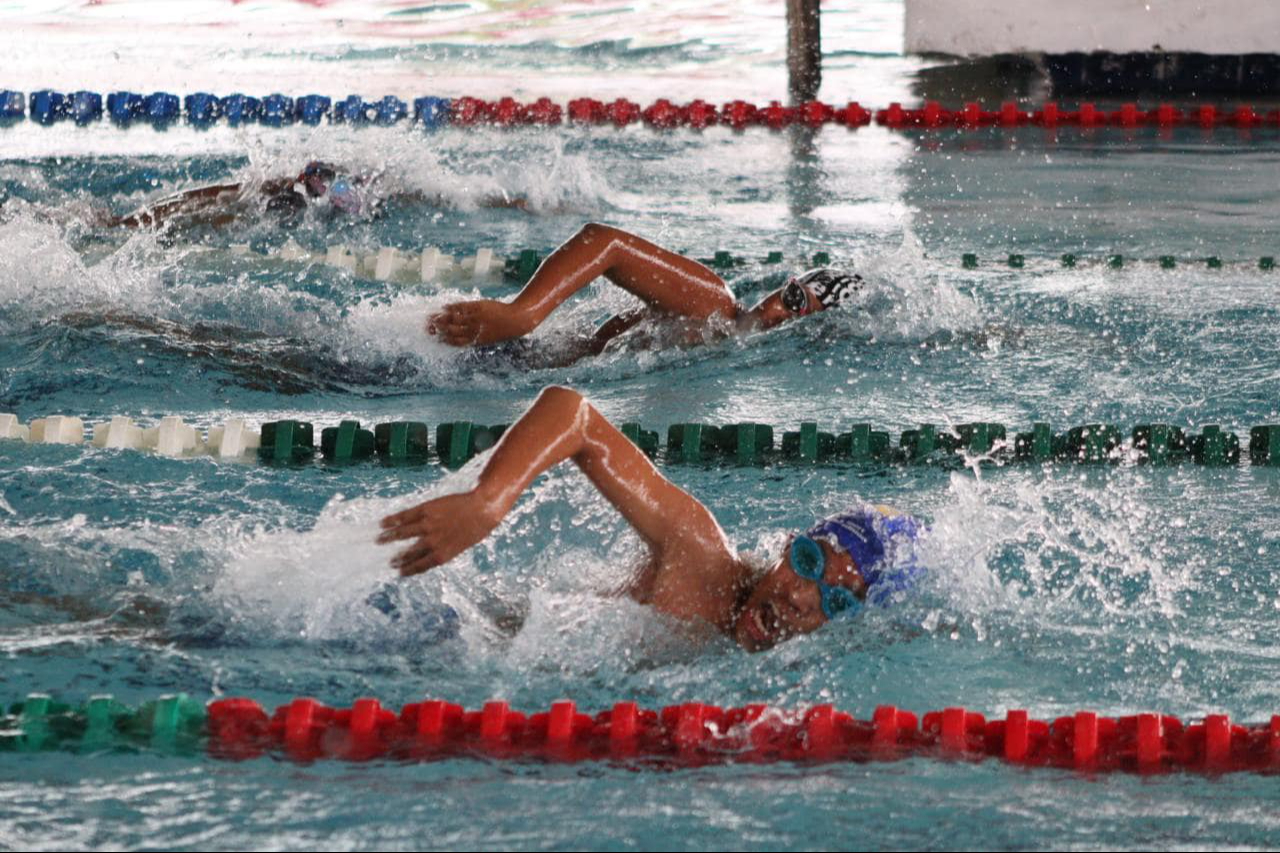 El Club Delfín de Chiapas lidera la tabla general con 210 puntos, seguido por el Club Acuarium de Yucatán con 182 puntos. El Club Delfín de Chiapas lidera la tabla general con 210 puntos, seguido por el Club Acuarium de Yucatán con 182 puntos.