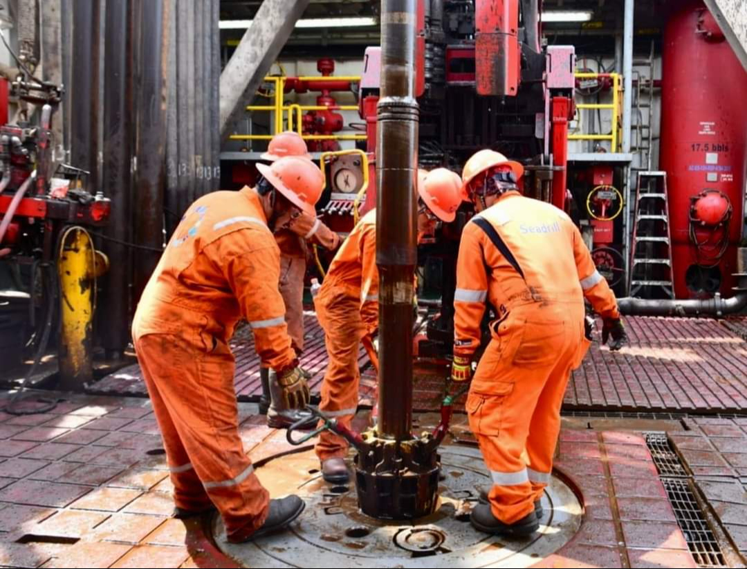 Otra proyección es que se procesen mil 452 mdb este año, por encima de los 511 del 2018. Otra proyección es que se procesen mil 452 mdb este año, por encima de los 511 del 2018.