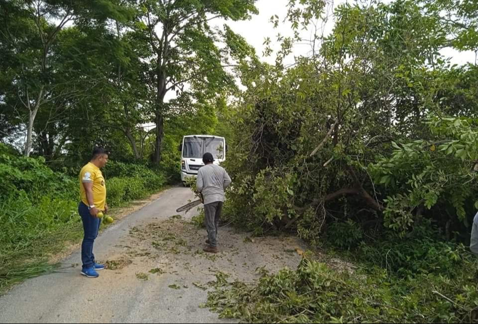 Unidades no podían atravesar la vía en Campeche Unidades no podían atravesar la vía en Campeche