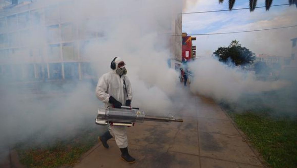 México reporta más de 22 mil casos confirmados de dengue y 49 muertes en lo que va de 2024