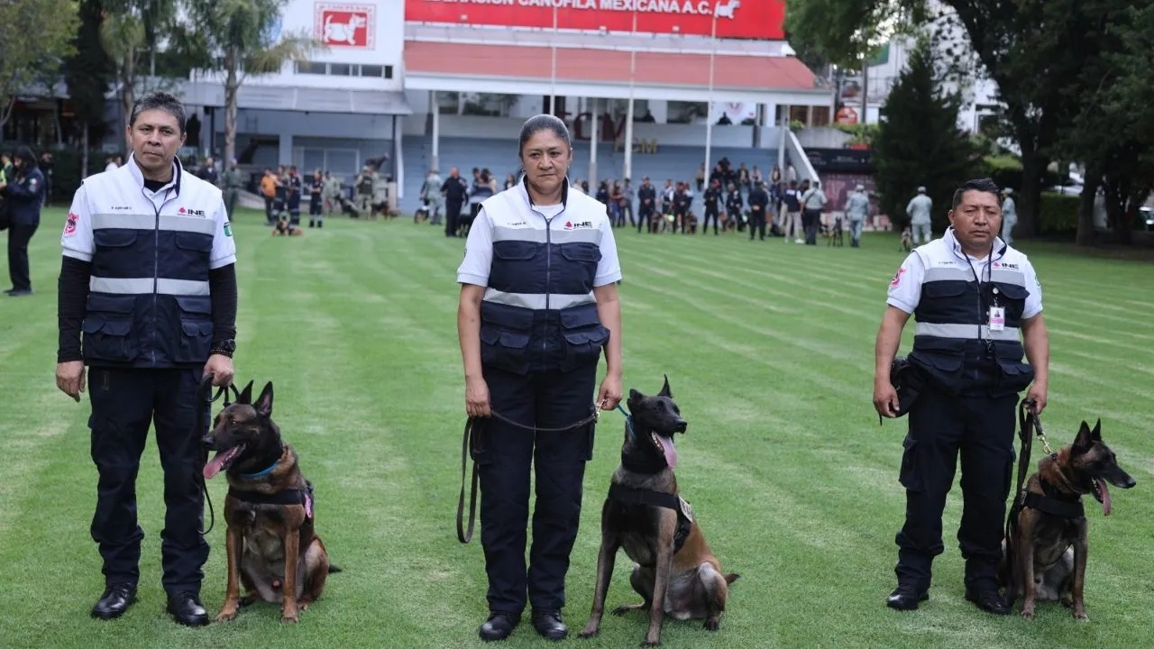 Unidad Canina del INE recibe premio a 'Mejor Perro del Año 2023' Unidad Canina del INE recibe premio a 'Mejor Perro del Año 2023'