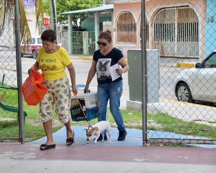 El Centro del Bienestar Animal asegura que la Secretaría de Salud ha limitado el número de dosis de vacunas antirrábicas en la cabecera municipal. El Centro del Bienestar Animal asegura que la Secretaría de Salud ha limitado el número de dosis de vacunas antirrábicas en la cabecera municipal.