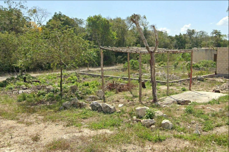Familias que viven entre la maleza se abastecen de agua de pozos, y siguen llegan cada día más personas Familias que viven entre la maleza se abastecen de agua de pozos, y siguen llegan cada día más personas