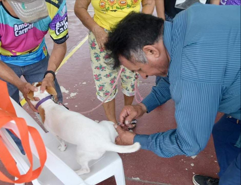 La Secretaría de Salud no ha proporcionado suficientes dosis recientemente, limitando la vacunación. La Secretaría de Salud no ha proporcionado suficientes dosis recientemente, limitando la vacunación.