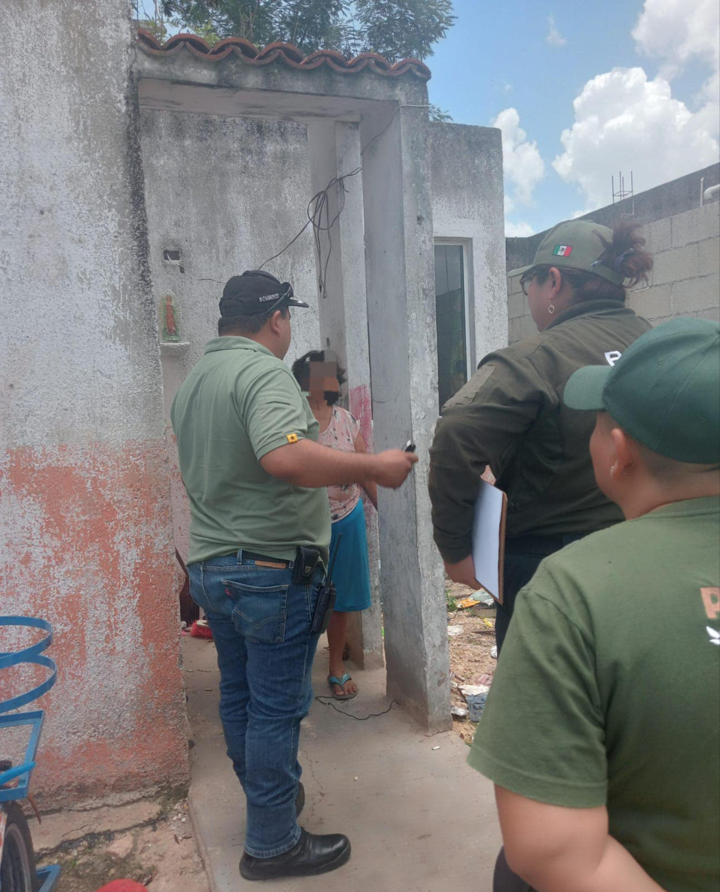 Los perros se encontraban en el domicilio de una mujer Los perros se encontraban en el domicilio de una mujer