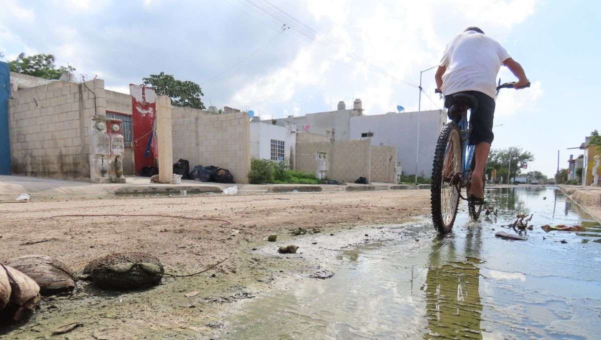 Denuncian incremento de plagas por encharcamientos de aguas residuales en Kanasín: VIDEO