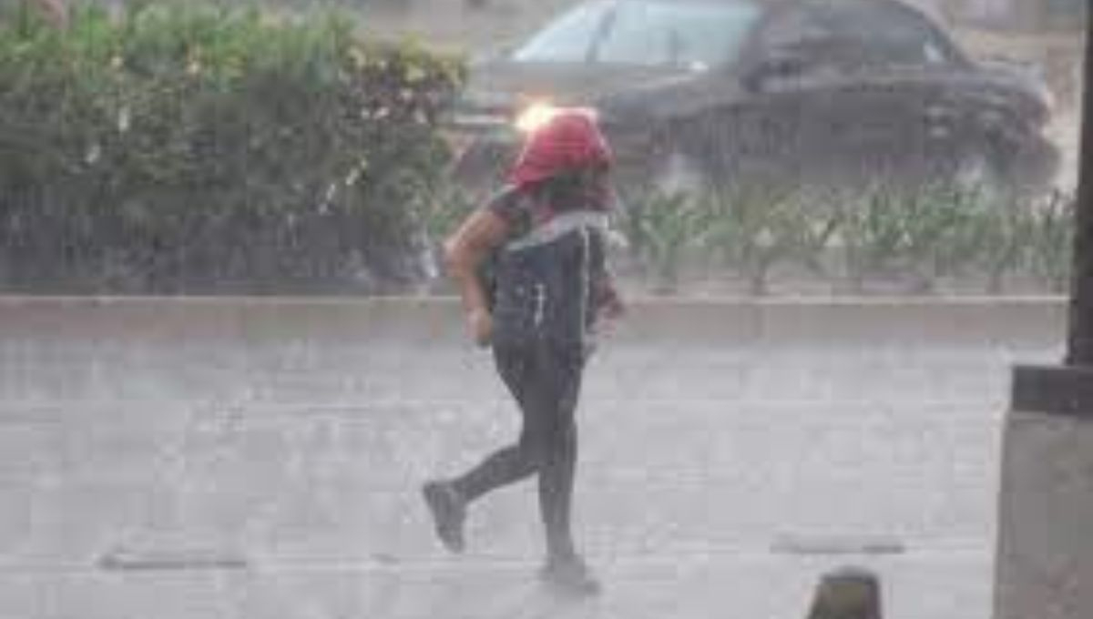 El Servicio Meteorológico Nacional señala que la Onda Tropical No. 11 provocará lluvias intensas en varias regiones del país El Servicio Meteorológico Nacional señala que la Onda Tropical No. 11 provocará lluvias intensas en varias regiones del país