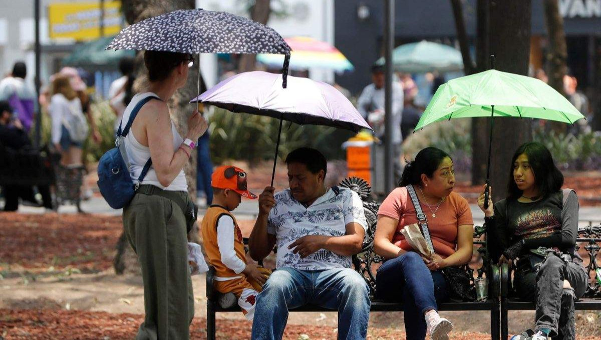 Aumenta el número de muertes por calor en México: 229 fallecidos desde marzo 