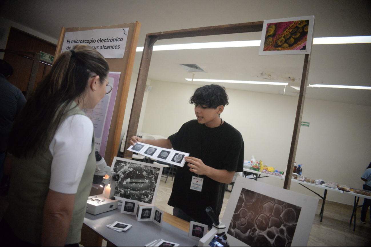 Reconocen a jóvenes científicos de Mérida en el programa ‘Talento  CICY’ 