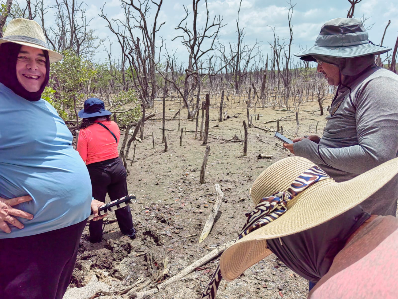   Apicultura en Sabancuy en peligro por la  muerte del mangle negro  