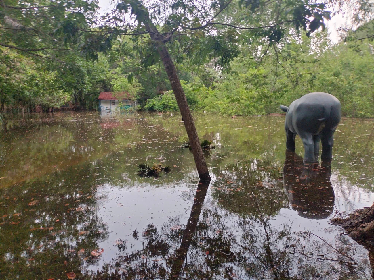 Los daños se presentaron por las lluvias Los daños se presentaron por las lluvias