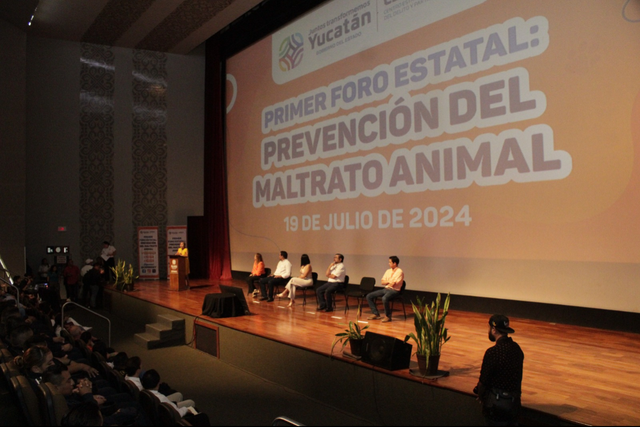 Maltrato animal en Yucatán, una tarea que debe atacarse desde lo individual  