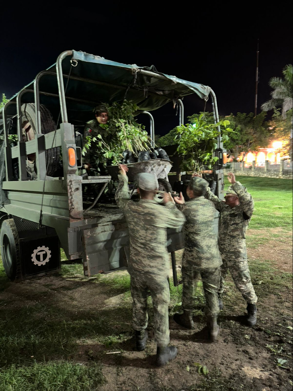 Militares entregan los árboles para reforestar el Tren Maya Militares entregan los árboles para reforestar el Tren Maya