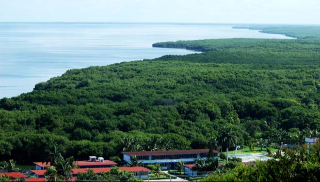 La Reserva de la Biosfera de Los Petenes en Campeche es un área protegida que ejemplifica la función protectora de los manglares.