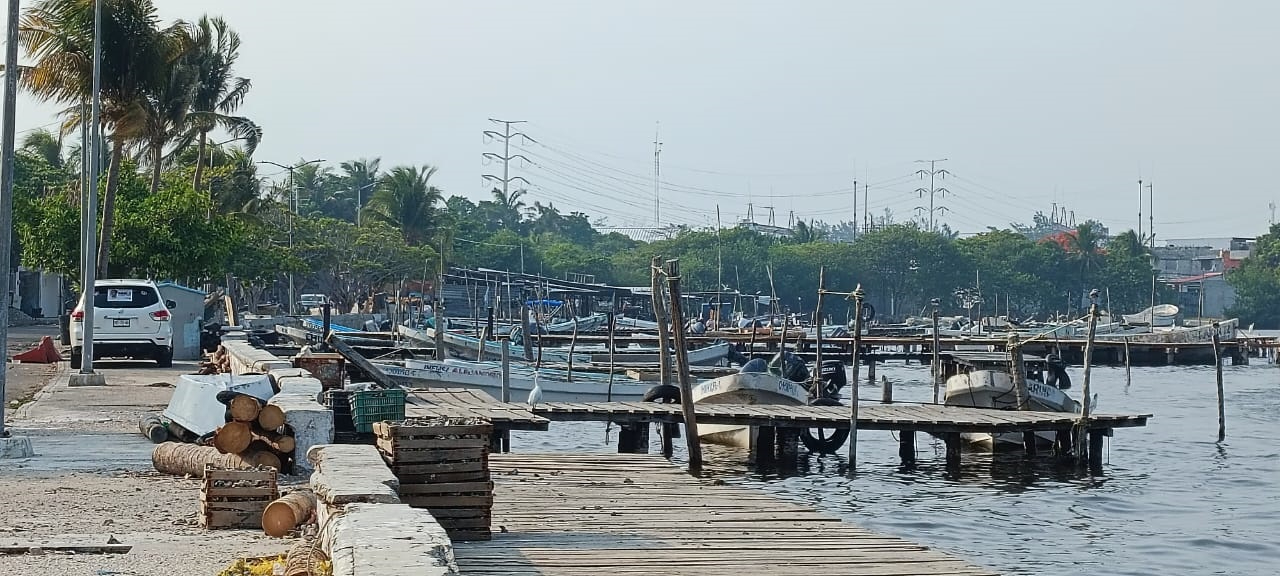 Los permisos de pesca están vencidos desde hace cinco años, y no se han tramitado adecuadamente por parte de Conapesca. Los permisos de pesca están vencidos desde hace cinco años, y no se han tramitado adecuadamente por parte de Conapesca.