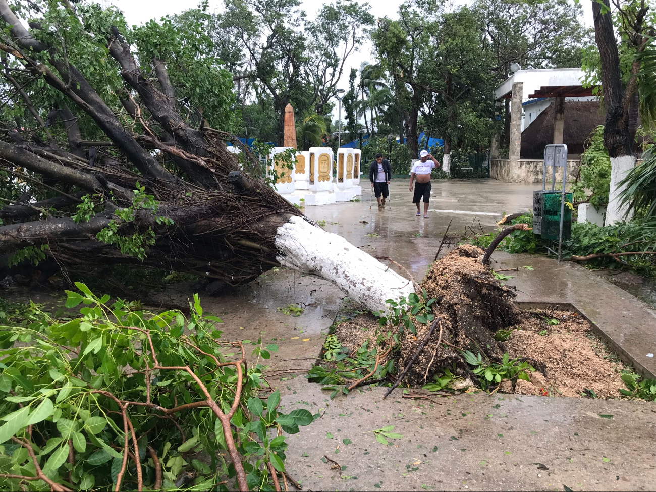 Se esperan fuertes vientos en la Península de Yucatán Se esperan fuertes vientos en la Península de Yucatán