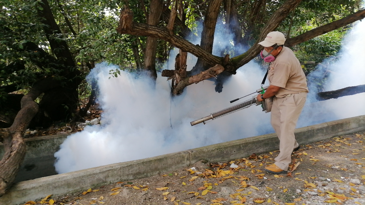 La Secretaría de Salud indica que las fumigaciones están programadas para la Entidad La Secretaría de Salud indica que las fumigaciones están programadas para la Entidad