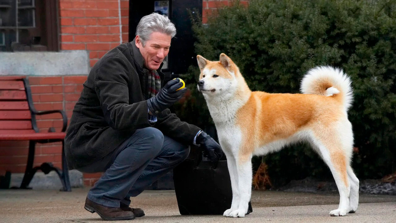 La historia de Hachiko saltó al cine, lo que hizo que muchos lloraran con ella La historia de Hachiko saltó al cine, lo que hizo que muchos lloraran con ella