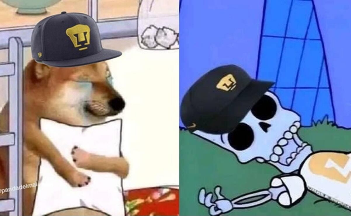 Memes al Rescate: Pumas vs. Pachuca, el partido que entretuvo más en redes  sociales