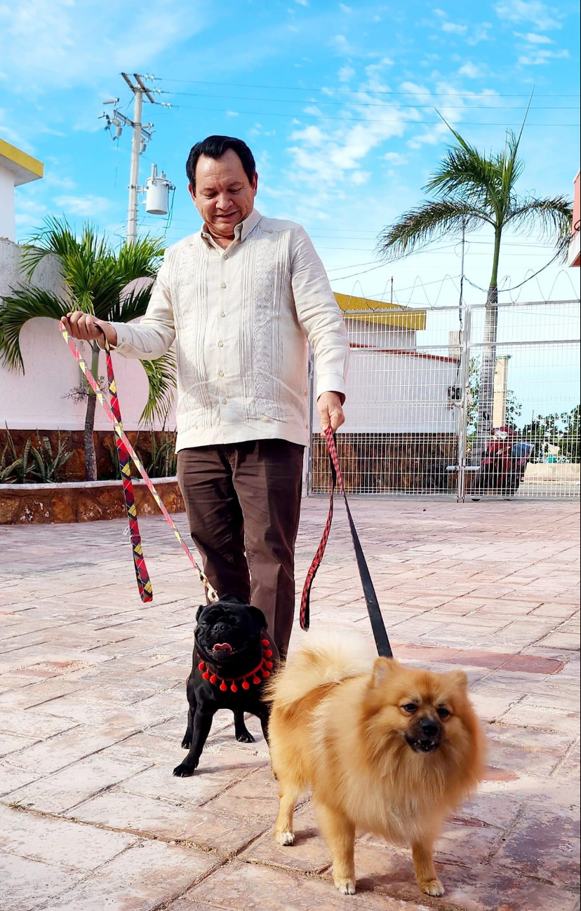 Joaquín Díaz Mena pasea a sus perritos en Yucatán Joaquín Díaz Mena pasea a sus perritos en Yucatán