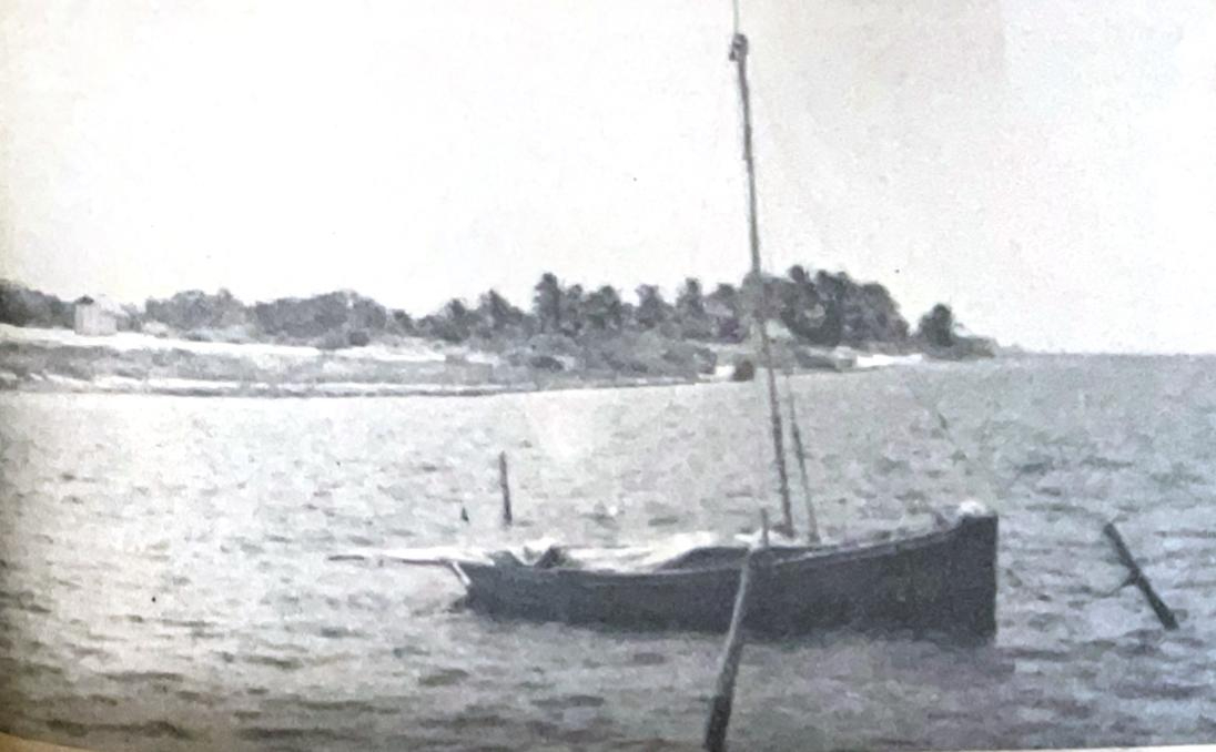 El lado correspondiente a San Pedro, en Belice, produjo el año pasado la suma de 240,000 por la pesca de la langosta coma a dólar la libra El lado correspondiente a San Pedro, en Belice, produjo el año pasado la suma de 240,000 por la pesca de la langosta coma a dólar la libra