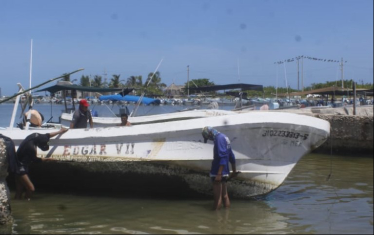 Los trabajos se llevan a cabo tanto en las dársenas como a la orilla de la playa. Los trabajos se llevan a cabo tanto en las dársenas como a la orilla de la playa.