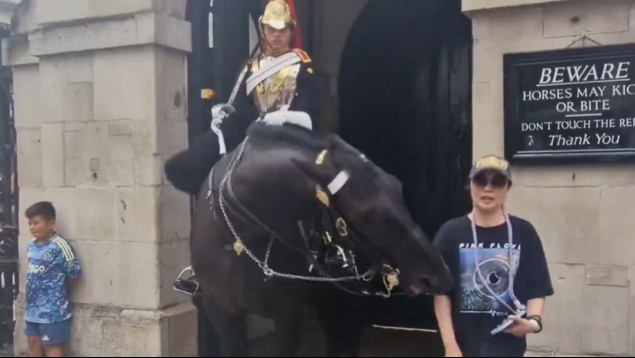 Filtran video de caballo de la Guardia Real mordiendo a una turista