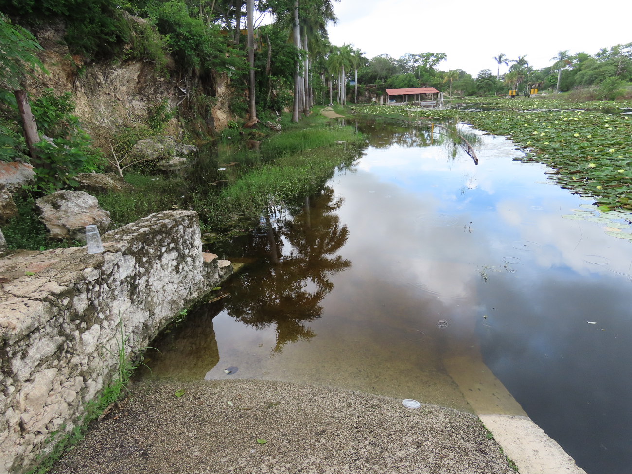 El lugar está abandonado, se ha convertido en foco rojo por los mosquitos. El lugar está abandonado, se ha convertido en foco rojo por los mosquitos.